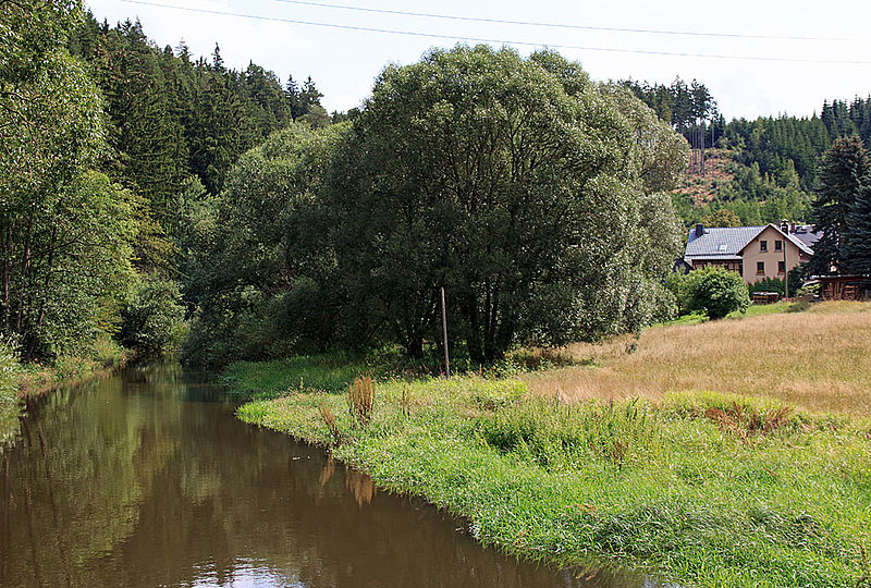 Die Wisenta bei Schleiz-Grochwitz. Foto: Jürgen K. Klimpke